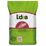 Sorgo ziarnowe Lidea ES SHAMAL
