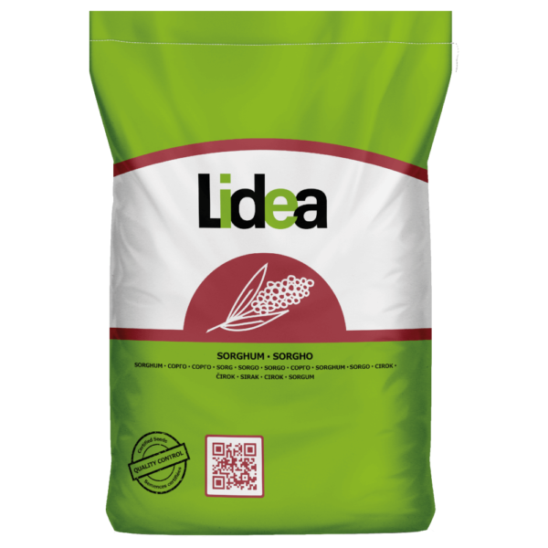 Sorgo ziarnowe Lidea ES SHAMAL